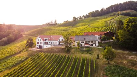 DJI_0981