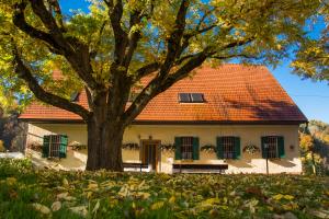 Vinogradništvo in sadjarstvo Šerbinek - Kušter