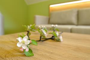 valdhuber-interier-matej-lozar-1