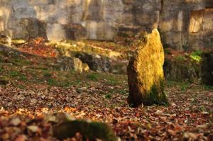 74209138_419738195577897_6695304997384486912_n