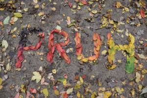 74667381_2477450335915882_685941667701719040_n