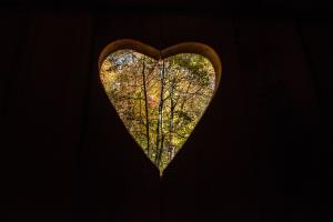 78510478_482714479269029_3586586094918959104_n