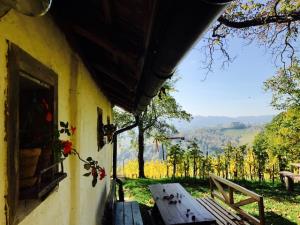 Vinogradniški muzej