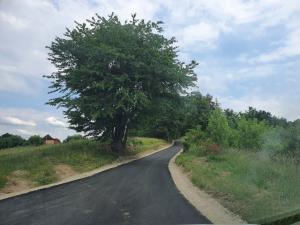 79490579_452931645571084_2672608241057267712_n