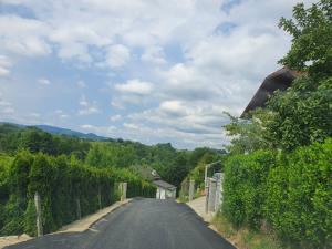 90880734_259020712002153_8229408697802031104_n