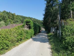 116715806_276890010280125_472485482136253021_n