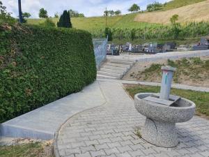 103460206_683925335738129_3692674361202822621_n