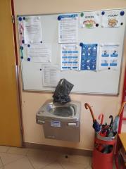 119421678_648886879381289_493151991034594407_n