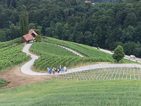 211426967_843230852960596_7230930437237518551_n