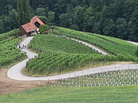 211753967_205986777966804_5441025993105237531_n