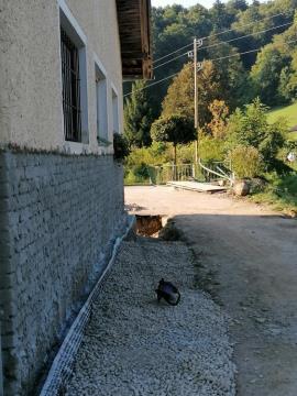 241636731_554759005779480_4844304777778995476_n