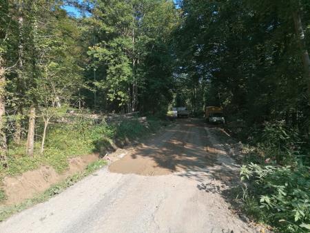 241638365_357856329336674_3282010157835399169_n