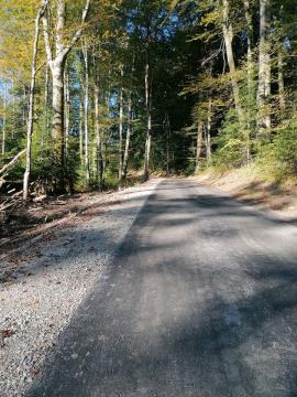 245302079_838583353441497_624812056523014204_n