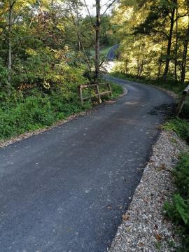 245251692_1214787782334584_8851781318675851609_n