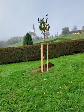 462540959_911223244305051_7665811427638461869_n