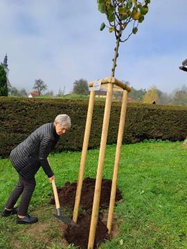 462553850_567907509100035_7077835887025057840_n