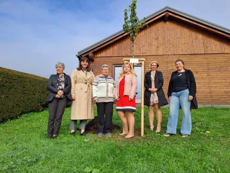 462553858_397981360046327_3163068659862497946_n