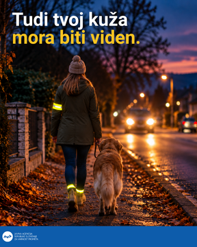 BODI VIDEN, BODI PREVIDEN